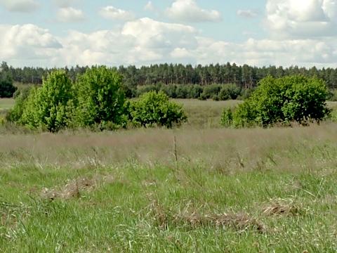 ділянка за адресою Квітква, 4