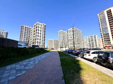 комерційна за адресою Олександра Олеся вул., 5
