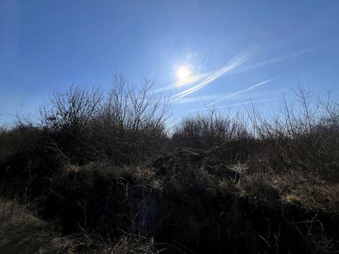 ділянка за адресою Вишнева