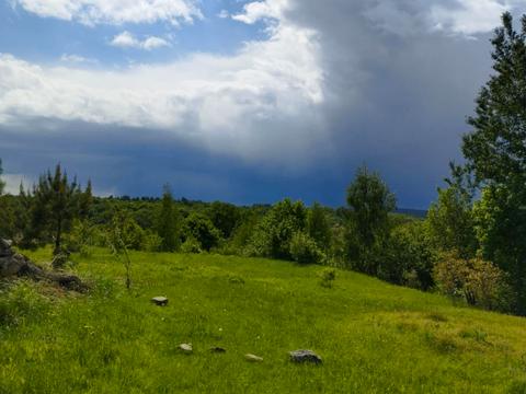 участок по адресу 