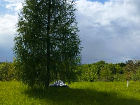 участок по адресу 