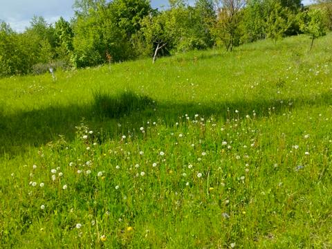 участок по адресу 