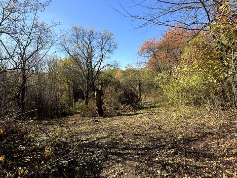 ділянка за адресою Оршівський пров.