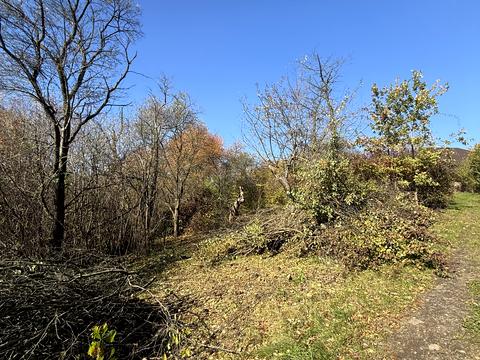 ділянка за адресою Оршівський пров.