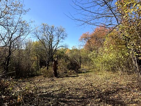 ділянка за адресою Оршівський пров.