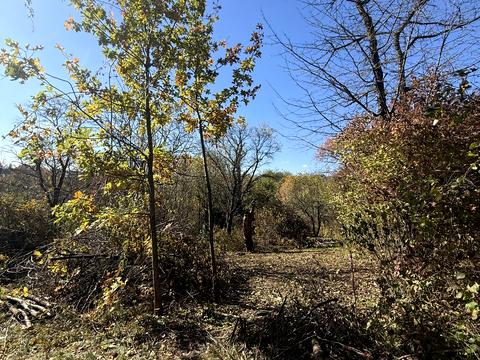 ділянка за адресою Оршівський пров.