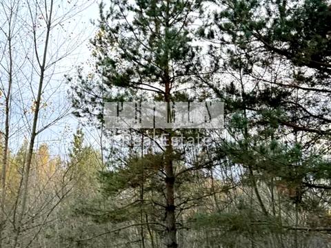 ділянка за адресою Незалежності