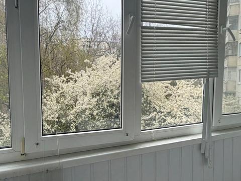 квартира по адресу Мира пл., 3-Д