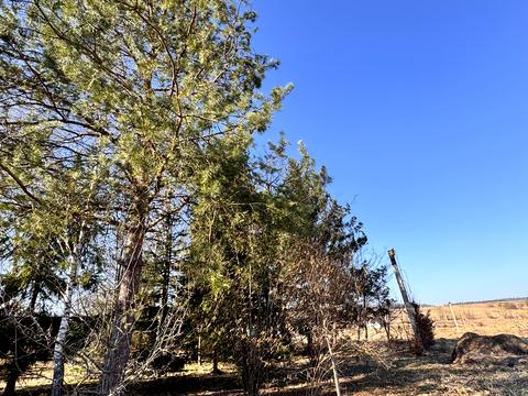 участок по адресу Новичка