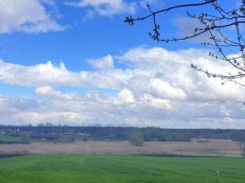 дом по адресу Алексєєва