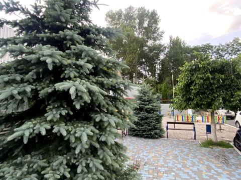 квартира за адресою Світлицького вул., (Будинок)