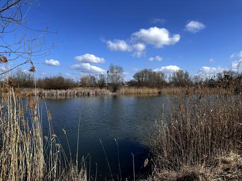 комерційна за адресою Сільськогосподарська, 1