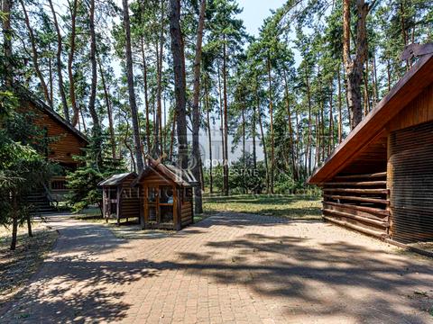 комерційна за адресою Дніпровське шосе, 1