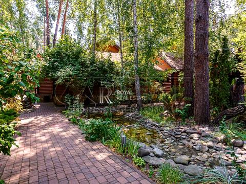 комерційна за адресою Дніпровське шосе, 1