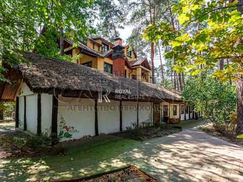 комерційна за адресою Дніпровське шосе, 1