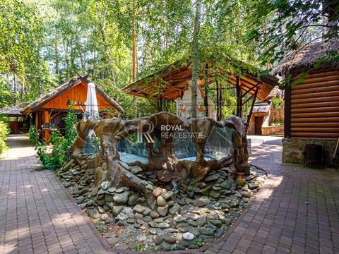 комерційна за адресою Дніпровське шосе, 1