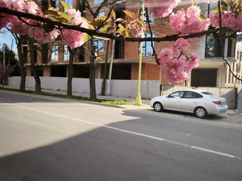 квартира за адресою Собранецька вул., (Будинок)