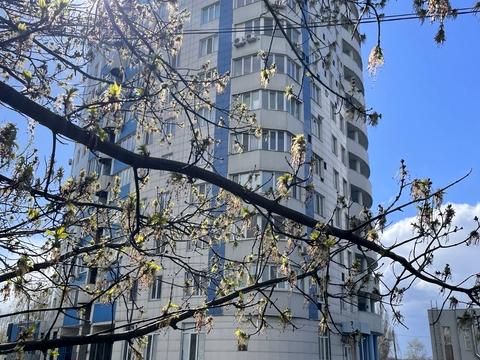 квартира за адресою Барабашова вул., 36а