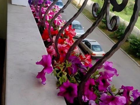 квартира за адресою Перемоги просп., 53б