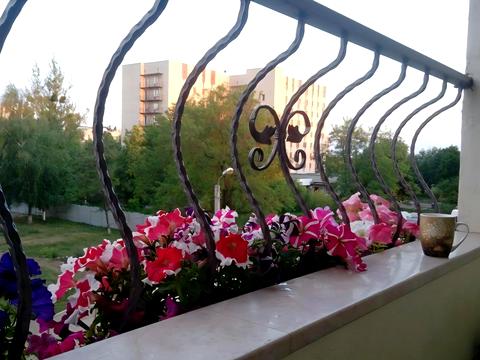 квартира за адресою Перемоги просп., 53б