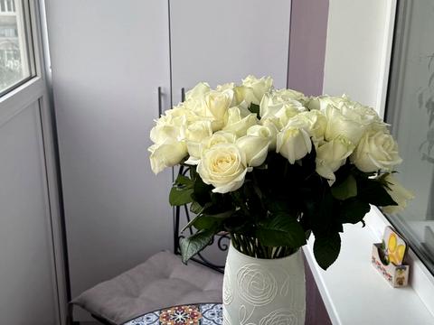 квартира за адресою Винниченка просп., 1