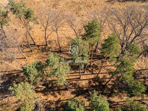 участок по адресу Анатолия Соловьяненко ул.