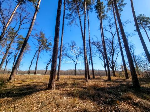 участок по адресу Анатолия Соловьяненко ул.