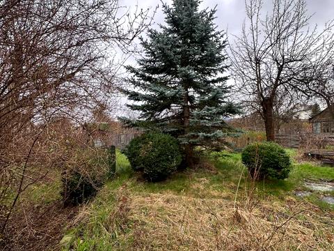 будинок за адресою Папулова вул.