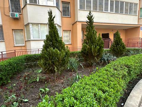 квартира за адресою Райдужний масив вул., 20