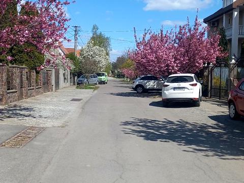 дом по адресу Тисянська ул., 31