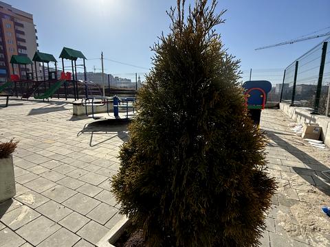 квартира по адресу Смакулы ул., (Будинок 6)