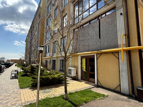 коммерческая по адресу Дача Ковалевского ул., 121 к1