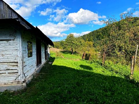 будинок за адресою нема