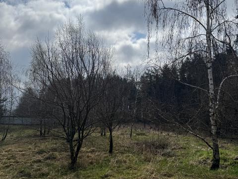 ділянка за адресою с. Михайлівка-Рубежівка, 
