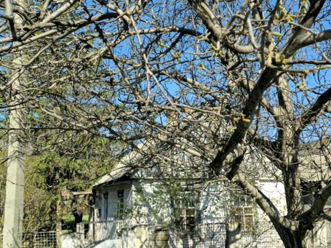 будинок за адресою Латвійська вул. (Вологодська), 101