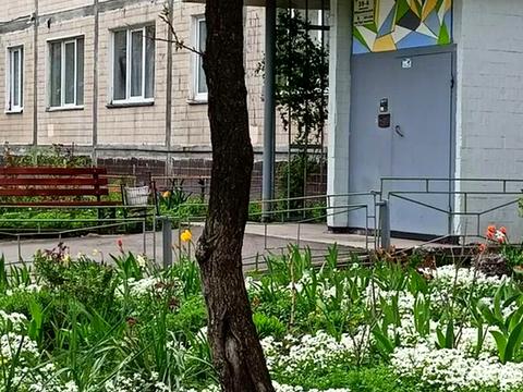квартира за адресою Оболонський просп., 39