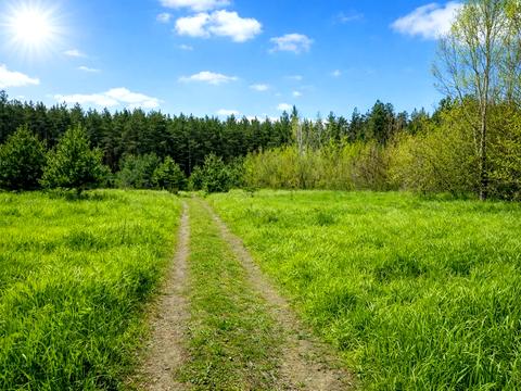 участок по адресу 