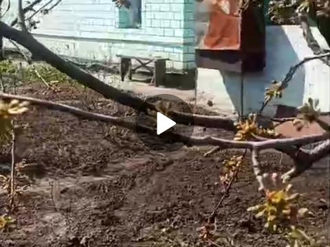 дом по адресу  ул.