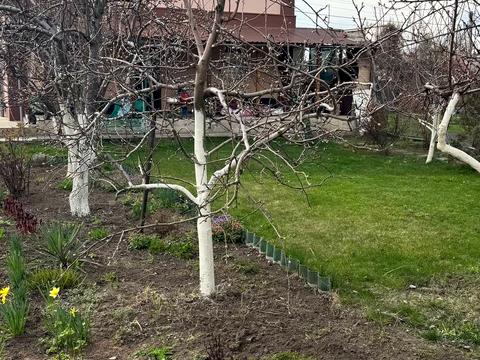 дом по адресу Халхингольская ул.