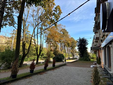 коммерческая по адресу Мира ул., 2