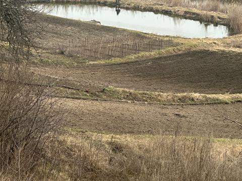 будинок за адресою Першотравнева, 148