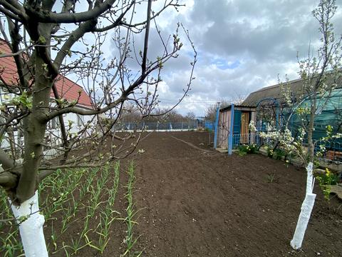 дом по адресу пр. Приморский