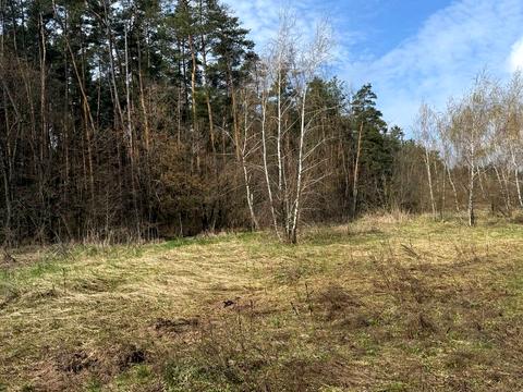 участок по адресу Шевченко ул., 12