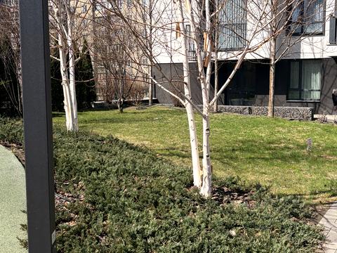 квартира за адресою Вірменська вул., 8