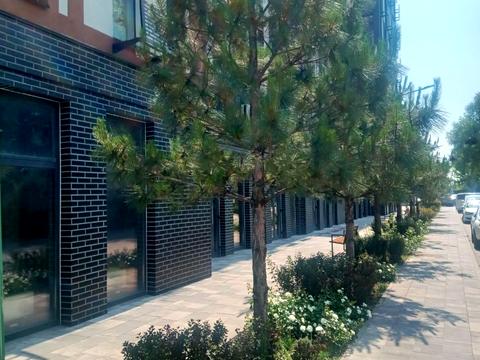 квартира за адресою Одеське шосе, 6-1