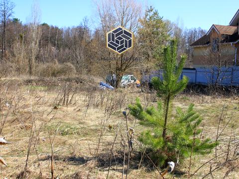 участок по адресу Мельника, 47