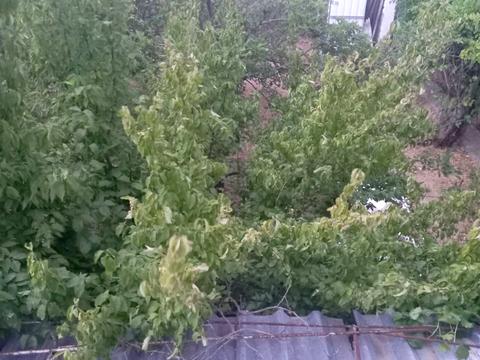 дом по адресу Аврора, 1