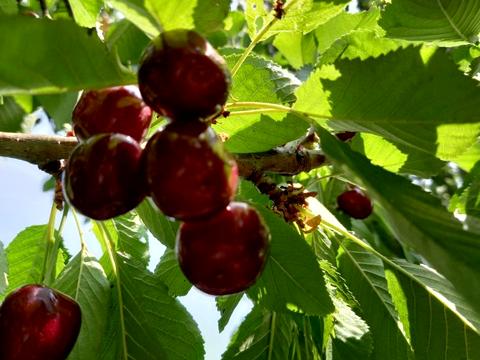 дом по адресу Аврора, 1