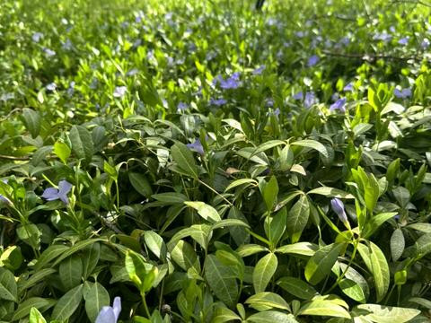 дом по адресу Аврора, 1