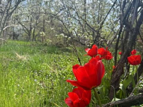 дом по адресу Аврора, 1